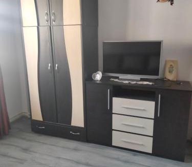 Nehoiu Apartment | Apartament Geo
