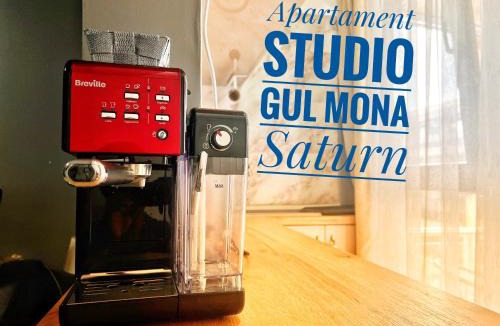 Saturn Apartment | Apartament Gul Mona Saturn