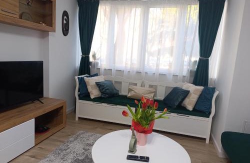 Baia Mare Apartment | Apartament Karina