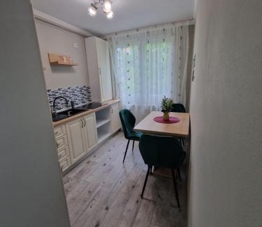 Reghin Apartment | Apartament Luna