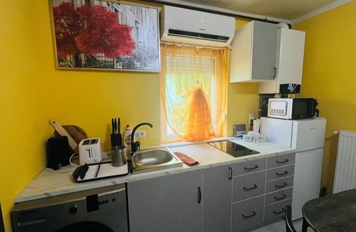 Arad Apartment | Apartament Magnolia Arad