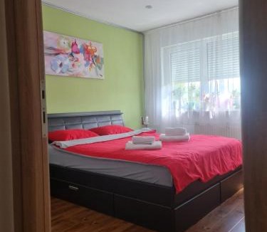 Medias Apartment | Apartament modern Cristina&Jessica