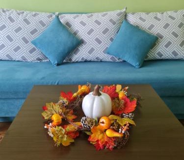 Medias Apartment | Apartament modern Cristina&Jessica