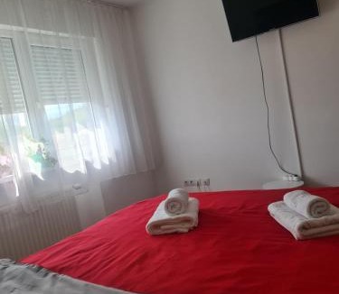 Medias Apartment | Apartament modern Cristina&Jessica
