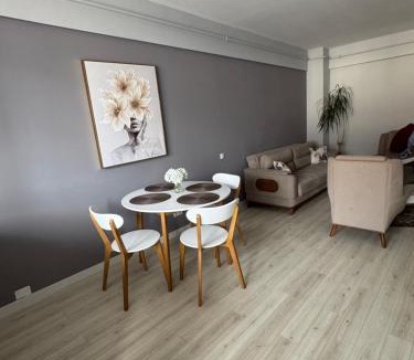 Ramnicu Valcea Apartment | Apartament modern 2 camere, Parcul Zăvoi