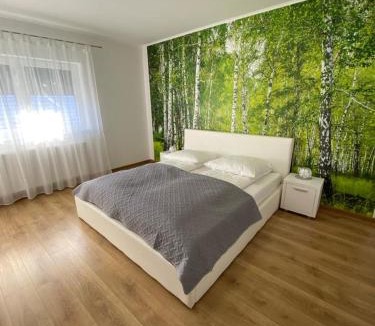 Medias Apartment | Apartament NALA