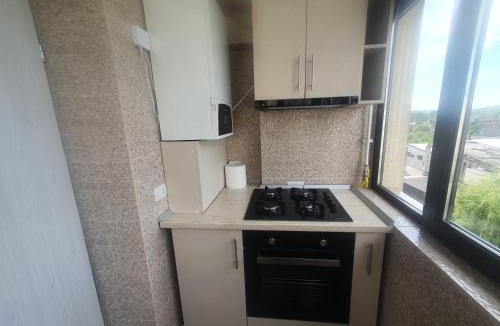 Curtea De Arges Apartment | Apartament Nicole