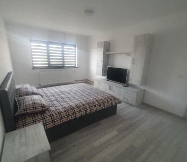 Curtea De Arges Apartment | Apartament Nicole