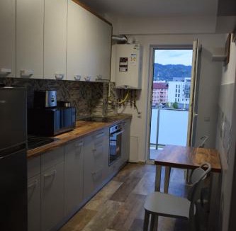 Baia Mare Apartment | Apartament Parc Central RHBM