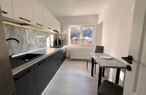 Curtea De Arges Apartment | Apartament Posada