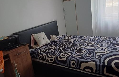 Barlad Apartment | Apartament