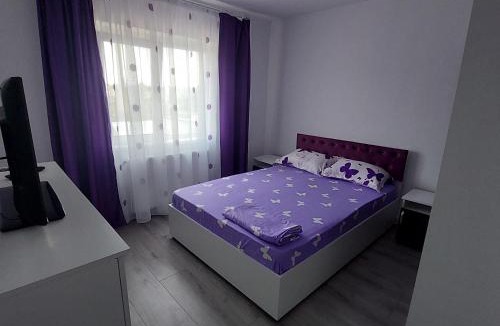 Barlad Apartment | Apartament Sara