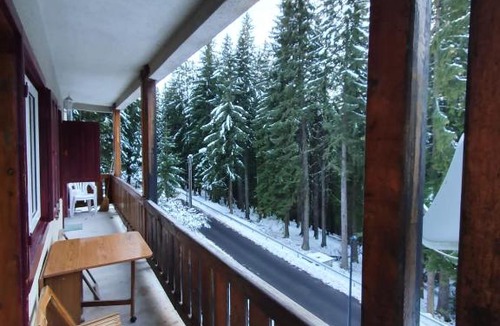 Paltinis Apartment | Apartament still Rustic Paltiniș Sibiu la 900 de metrii de partia Oncești