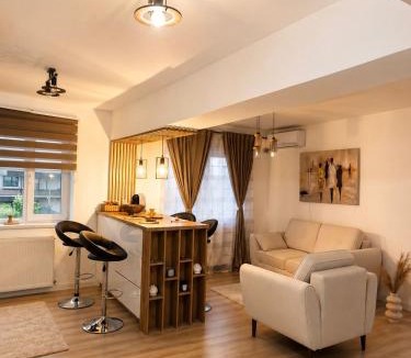 Curtea De Arges Apartment | Apartament Theodora