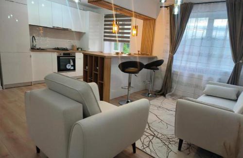 Curtea De Arges Apartment | Apartament Theodora
