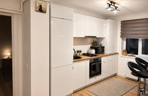 Curtea De Arges Apartment | Apartament Theodora