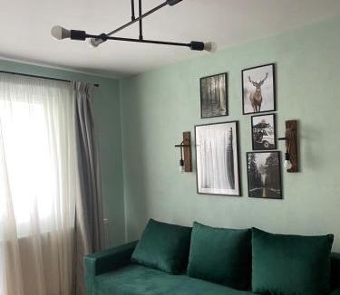 Fagaras Apartment | Apartament Tudor