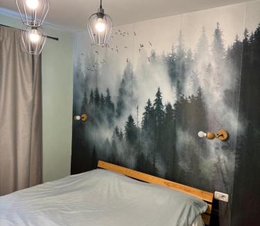 Fagaras Apartment | Apartament Tudor