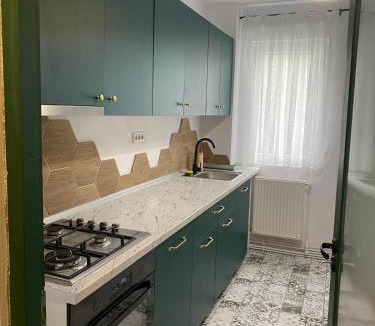 Fagaras Apartment | Apartament Tudor