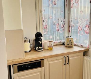 Scheia Apartment | Apartament Victoriei