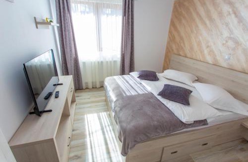 Busteni Apartment | Apartamente Primaverii