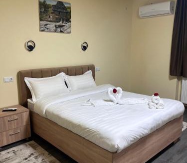 Sighetu Marmatiei Apartment | Apartamentele Liliacul