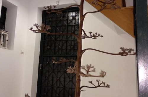 Almeria Centro Apartment | Apartamento Estrella