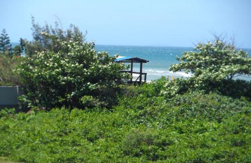 Ingleses Centro Apartment | Apartamento Ilhas Do Norte