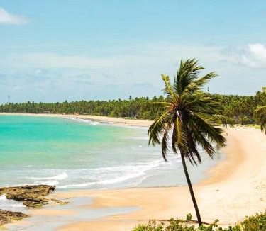 Japaratinga Apartment | Apartamento Inteligente - 50m da praia