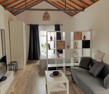 Villa de Mazo Apartment | Apartamento MAYATA DELUXE