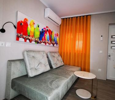 Nossa Senhora da Expetacao Apartment | Apartamento MS