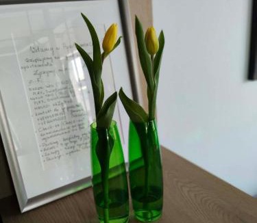 Plock Apartment | Apartamenty 3 Maja