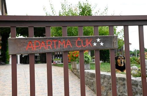 Pliskovica Apartment | Apartma Čuk