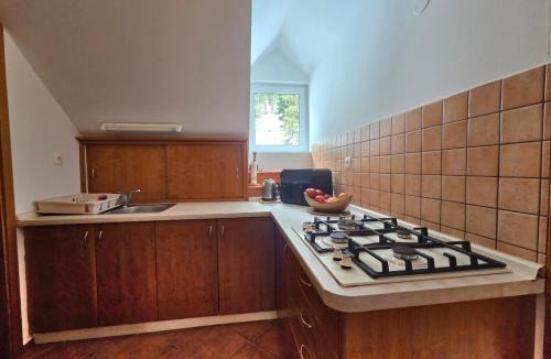 Paka Apartment | Apartma Brin Rogla