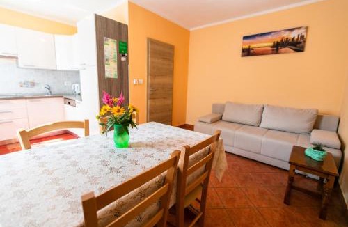 Cezsoca Apartment | APARTMA JANJA