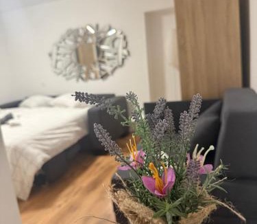 Vanganel Apartment | Apartma Lavanda