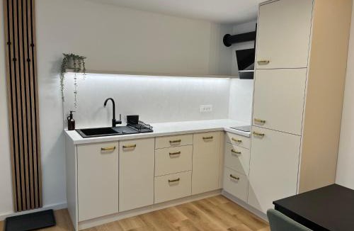 Celje Apartment | Apartma Sivka