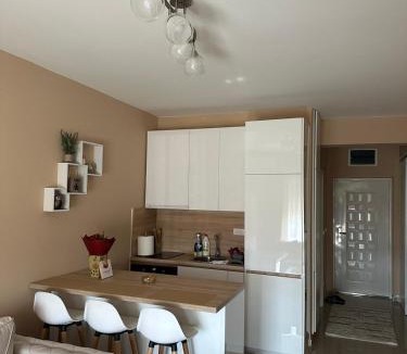 Bjelisi Apartment | Apartman DVA SRCA