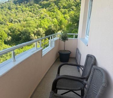 Prijevor Apartment | Apartman Vaso