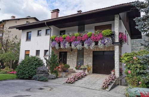 Bohinjska Bistrica Apartment | Apartment Žvab