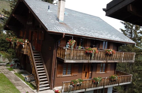 Bettmeralp Apartment | Apartment ∙ 1 bedroom ∙ 2 guests