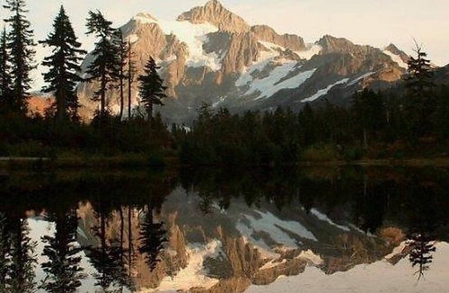 Glacier Apartment | Apartment 32MBR Private Pet Friendly Cabin in Mount Baker/Glacier - 7 persons, 3 bedrooms