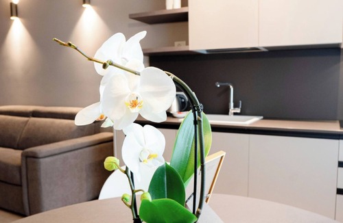 Stazione Apartment | Apartment 6