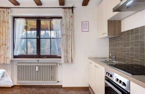 Oberharmersbach Apartment | Apartment 6 with Balcony, Barbecue Area, and Wi-Fi