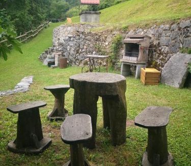 Tolmin Apartment | Apartment Abinkar