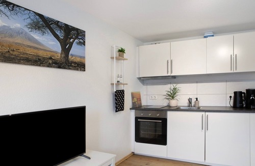 Alsfeld Apartment | Apartment 'Alsfelder Wein-Suite' with Wi-Fi