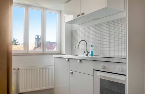 Satteldorf Apartment | Apartment 'Alte Schmiede Ellrichshausen' with Wi-Fi