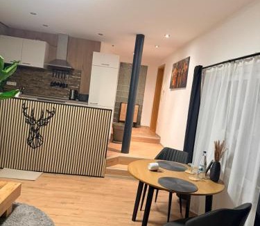 Saalfeld-Saale Apartment | Apartment am Blankenburger Tor Saalfeld