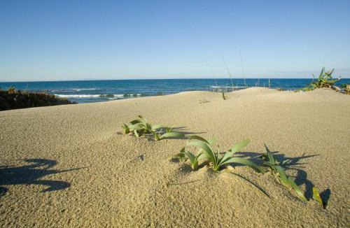 Eden Beach Apartment | Apartment Ammentos by Interhome
