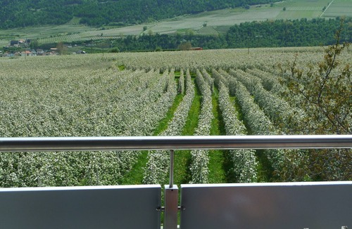 Silandro Apartment | Apartment "Apple Blossom" with large balcony